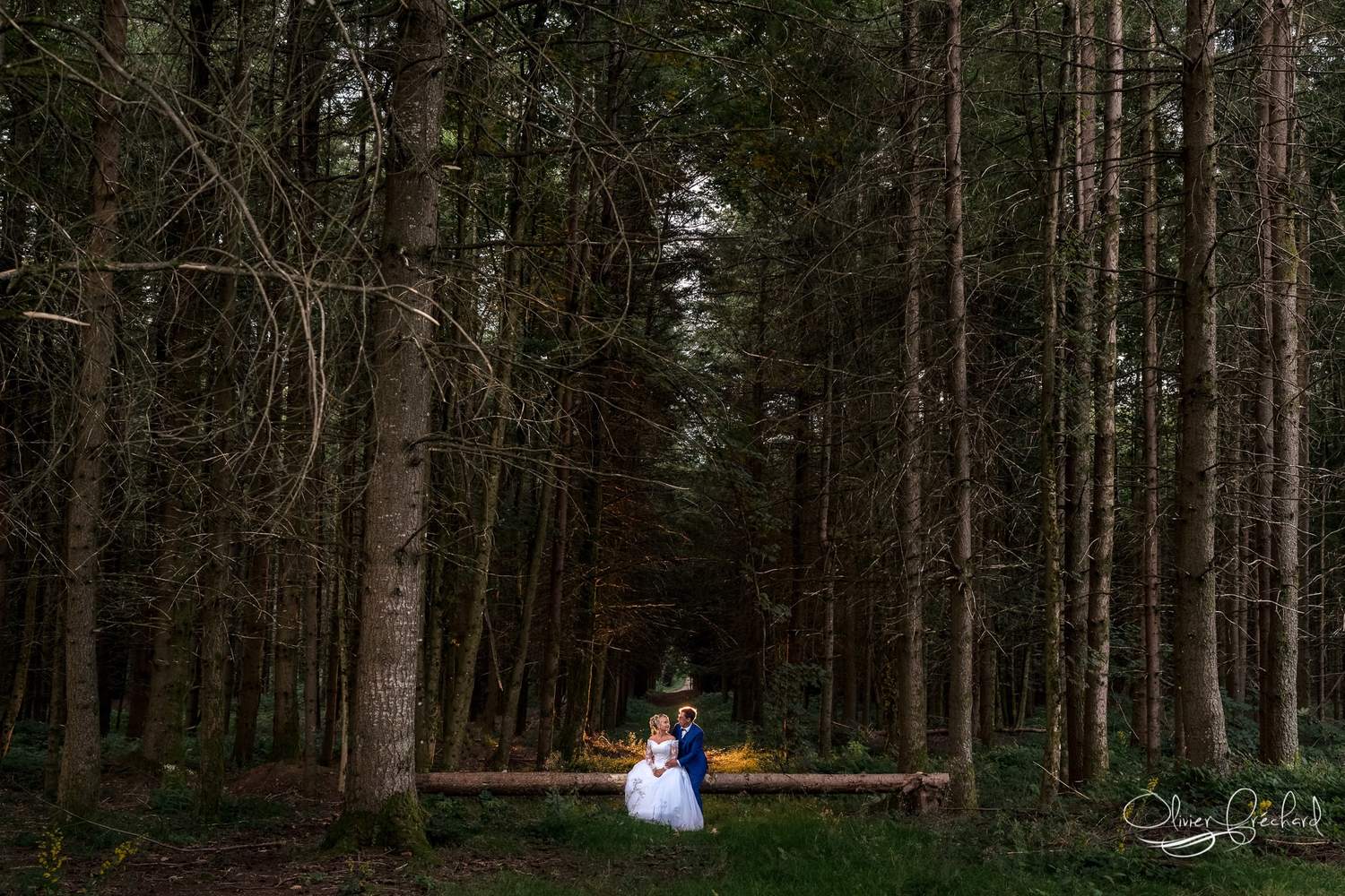 photos de mariage dans la nature en Alsace par Olivier Fréchard